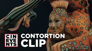 Curious about Kurios? | Contortion Clip | June 2019 | CinEvents