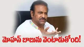 మోహన్ బాబును వెంటాడుతోంది! | Mohan Babu | Manchu Manoj | Manchu Vishnu | YSRCP | TDP #NidhiTv