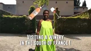 VISITING A WINERY IN THE SOUTH OF FRANCE