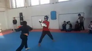 2-каниндат мастер спорт