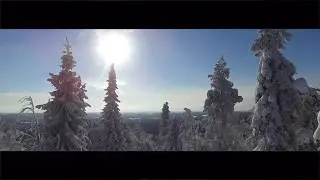 Iso Sy&ouml;te Finland