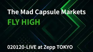 FLY HIGH 020120-LIVE at Zepp TOKYO -The Mad Capsule Markets-