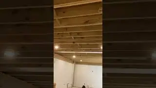 Solo Contractor Basement Finish Ceiling Paint