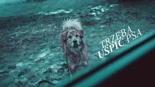 ⎯⎯  Trzeba uśpić psa ⎯⎯  Abigail & Will