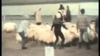 Heyskapur, réttir og Byrgisvík