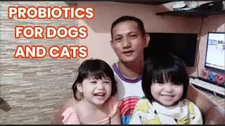 PROBIOTICS FOR DOGS AND CATS