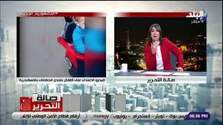 والدة الطفلة كامليا إحدي ضحايا #حضانة_الإسكندرية تكشف تفاصيل الاعتداء عليها