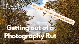 Getting out of a Photography Rut! | Motivation and Challenge | Nature Photography