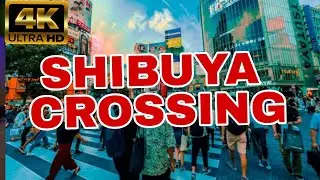 [ 4K Tokyo Japan ] : Shibuya Crossing Walking Tour ( Ace Pro 2 )