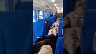 Amazing China's Train Solution for Farmers & Livestock Transportation! 🚂 🤯