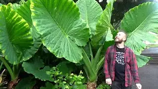 A Trip to Tenerife