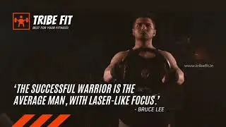 Tribefit.in | TRIBE FIT