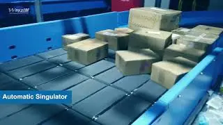 Automated Singulator - Wayzim China