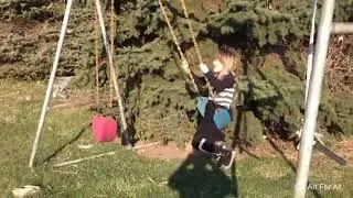 Funny Roosters Chasing Kids🐔🐓🐔 Funniest Animals Videos Compilation 2019