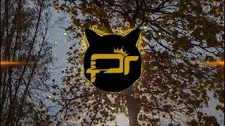 ACRE DANCE, Propaganda - Znaesh (Bismark Project Remix)