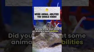 Unbelievable weird animal abilities you don't know about!
