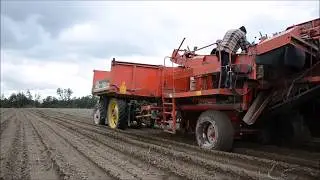 ☆Kopanie ziemniak&oacute;w 2017☆Byczyna Opolskie Grimme se 75-40 ☆John Deere 6400