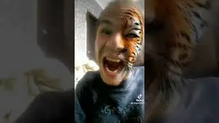 как делает тигр