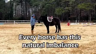 Understand your horse's natural imbalance (all disciplines)