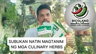 CULINARY HERBS