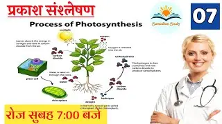 Biology Live Class|| प्रकाश संश्लेषण || Class-7 || NEET/PNST/ANM MCQ Class || by Choudhary sir