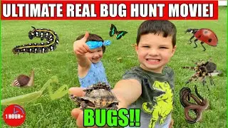 ULTIMATE REAL BUG HUNT! 1 Hour+ of Caleb's Best Bug Adventures, Giant Snails & Super Worms!