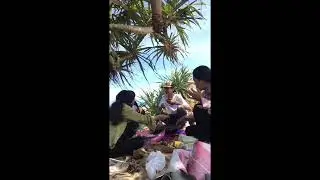 video lucu makan-makan di pinggir pantai ini akibat nya |
