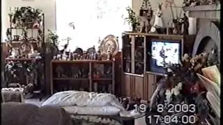 America2003_3