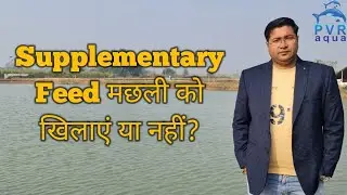 What Is Supplementary Feed । Supplementary Feed Is Good Or Worst For Fish। Pvraqua