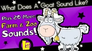 What Sound Does A Goat Make - And Lots More!