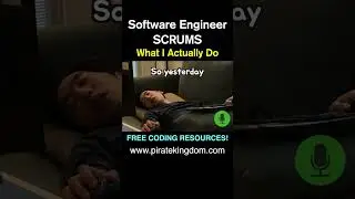 What people think I do VS What I actually do: Daily Scrums