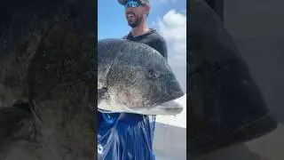 Что это за рыба ?! #tightlines