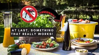 Fly Repellent Fan | Portable Food Protector Fan for Picnic