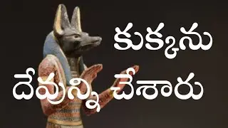 Dog god పిచ్చి జనం లారా మారండి