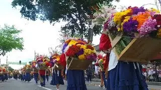 More than 500 flower farmers participate in Colombia&rsquo;s Flower Festival
