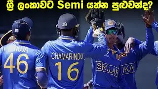 ශ්‍රී ලංකාවට Semi යන්න විය යුතු දේ!|Daily Dose Episode 303