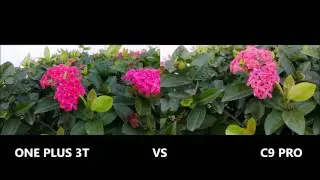C9 PRO VS ONEPLUS 3T CAMERA TEST REVIEW