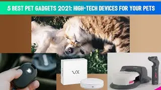 5 Best Pet Gadgets 2021 ▶ High-Tech Devices For Your Pets🐶🐱
