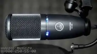 AKG PERCEPTION 120 USB (P120 USB)