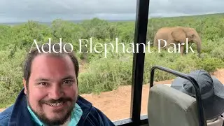 Addo Elephant National Park Game Drive | South Africa (2023)