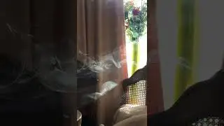 The Art of Smoke & Sunlight