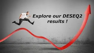 Let's explore the DESEQ results files ! John Rinn Computational Genomics Lab.