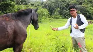 mi caballo come pan y galleta Tik Toker Shuar