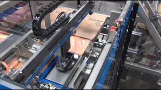 Case Packer, KD 20 - Blocks of Frozen Fish - BW Integrated Systems