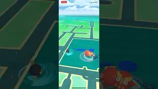 Silly Darumakas! #dodgemon #darumaka #pokemon