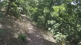 Allegrippis Wreck