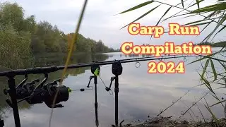 Crazy Carp Run Compilation 2024 | Fox Micron RX+ MX | Fullrun Crazy Screaming Bites