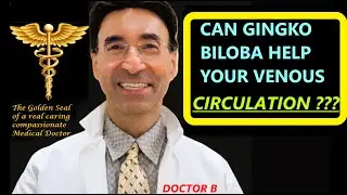 CAN GINKGO BILOBA HELP YOUR VENOUS CIRCULATION OR NOT?