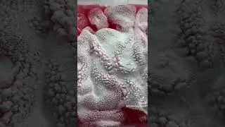 What is the SLIME POWDER?! 🥶