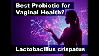Is Lactobacillus Crispatus the Best Probiotic for Vaginal Health? (Science Explained)